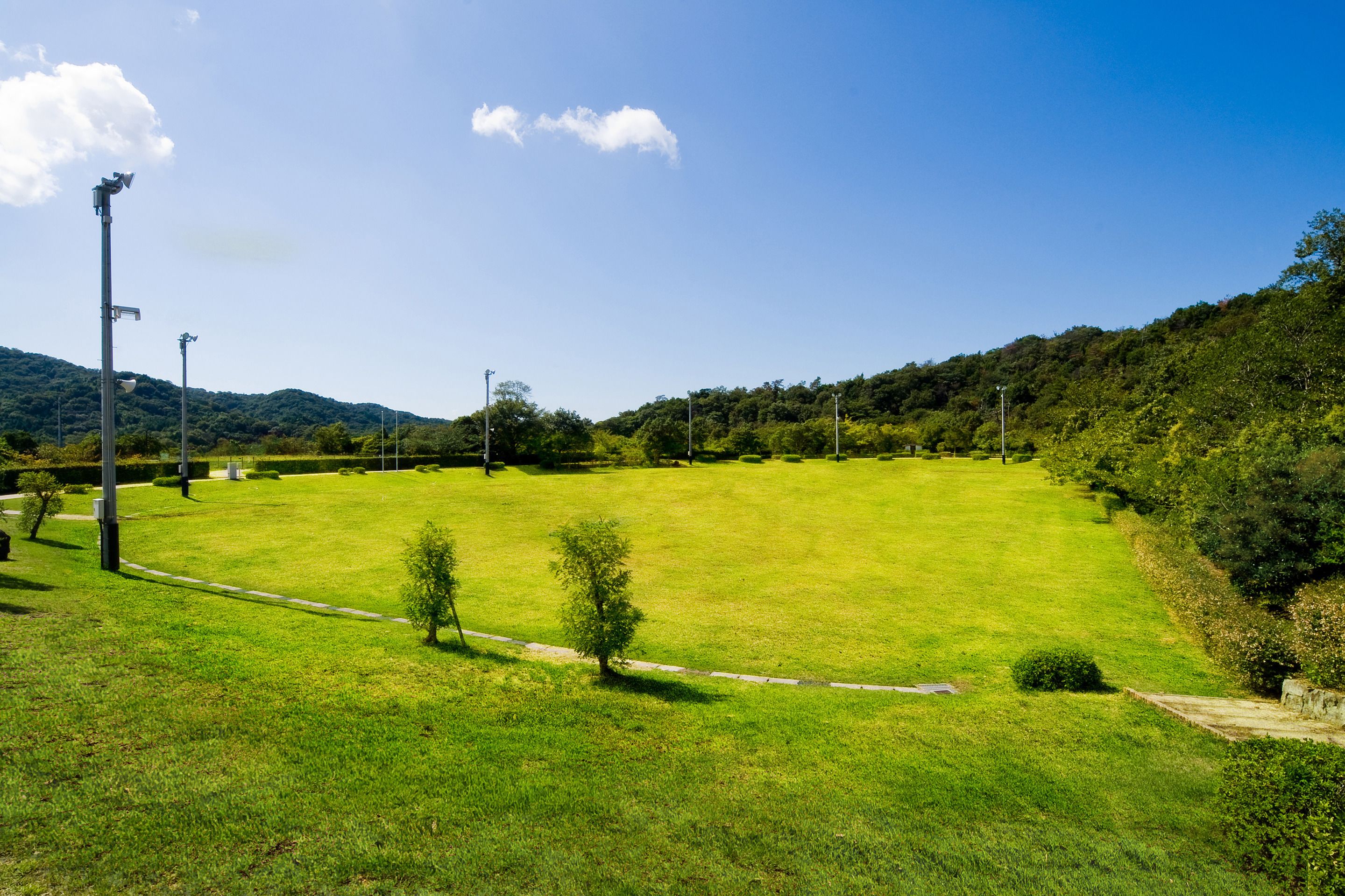 Een groot, open grasveld met enkele bomen en lantaarnpalen.