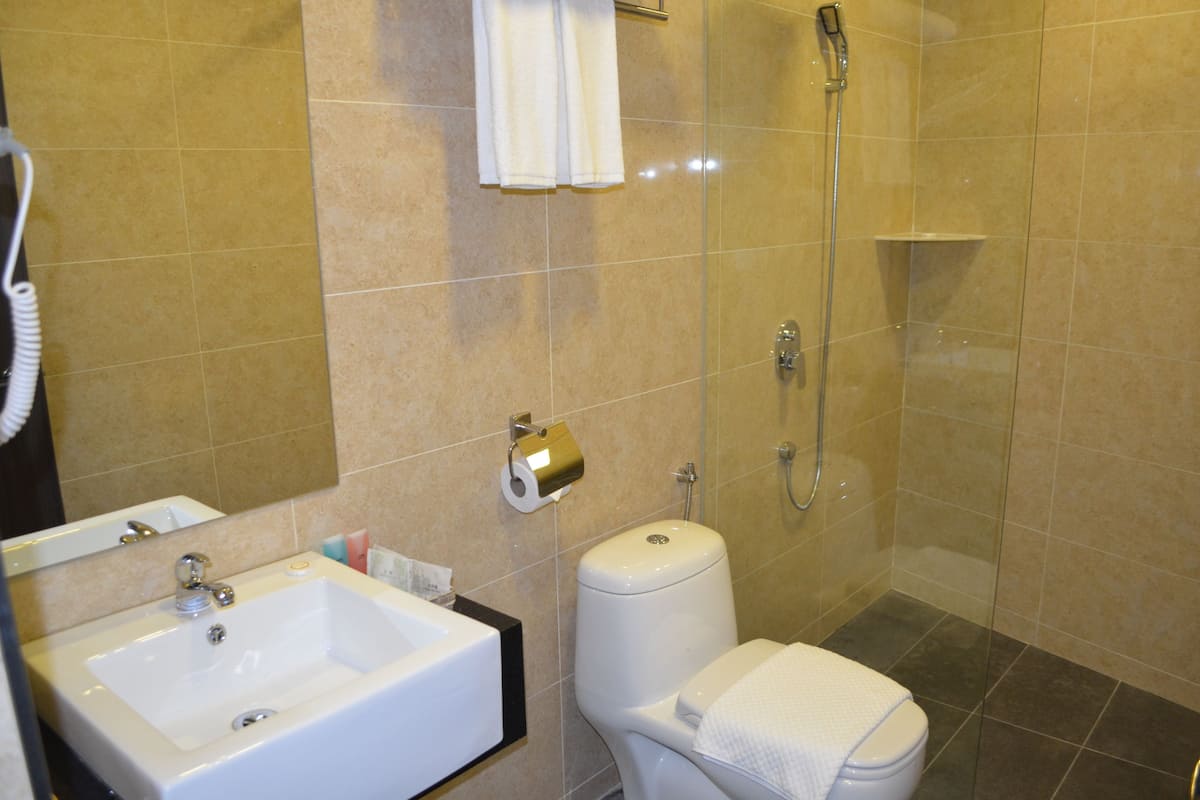 shower, free toiletries, hair dryer, towels