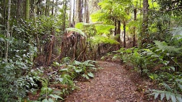 Hiking