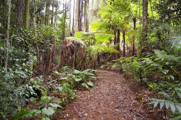 Kembara