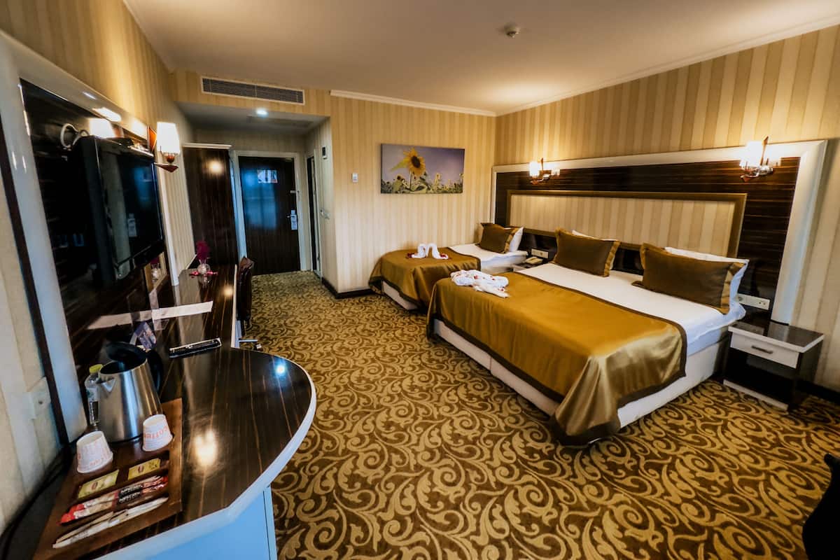 Une chambre d’hôtel avec deux lits, une télévision, un minibar et un tableau au mur.