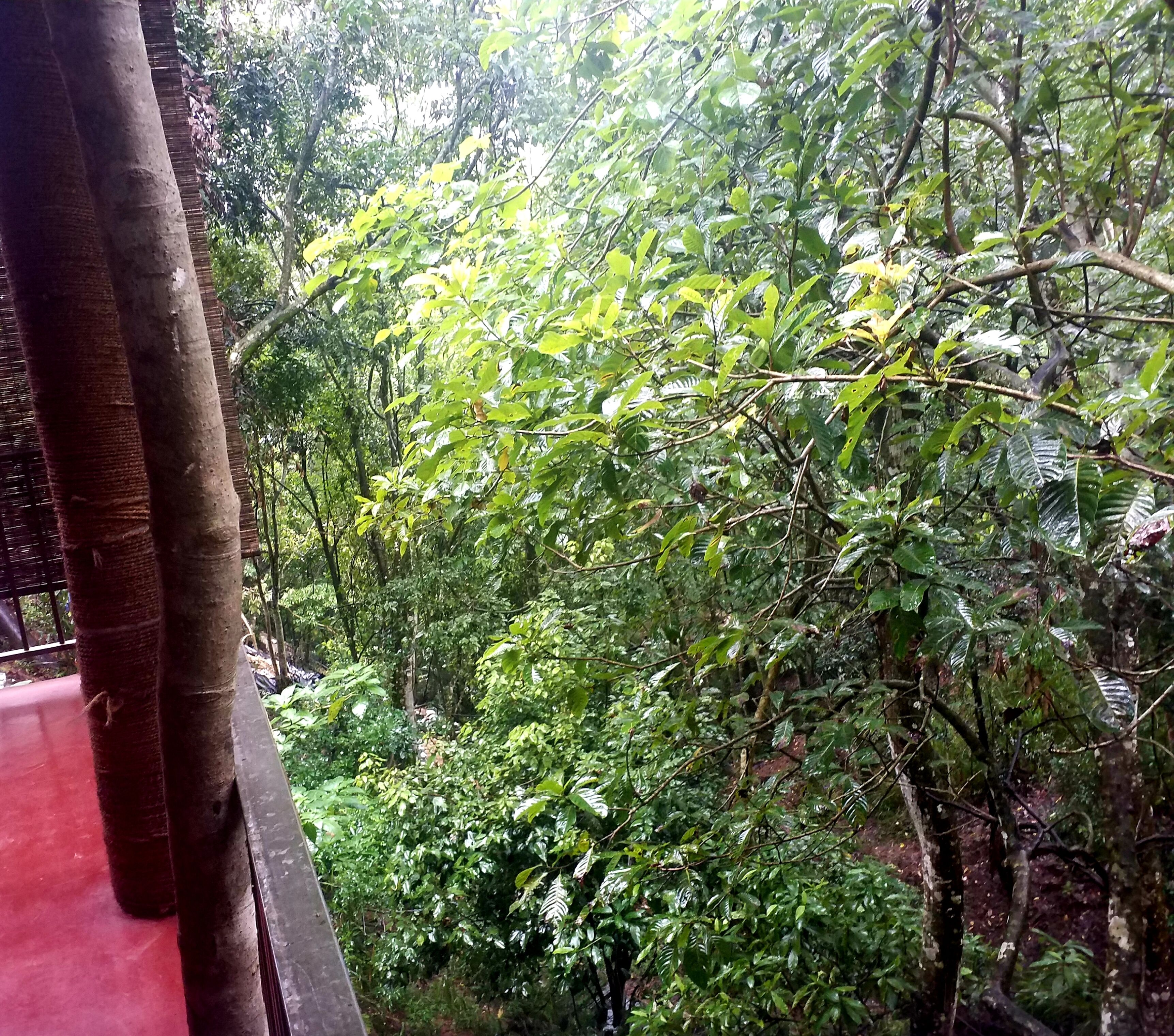 Cottage Economy, 1 phòng ngủ, không hút thuốc, quang cảnh thung lũng | Vườn