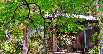 Cottage, Forest View | Egyptian cotton sheets, premium bedding, pillowtop beds, in-room safe