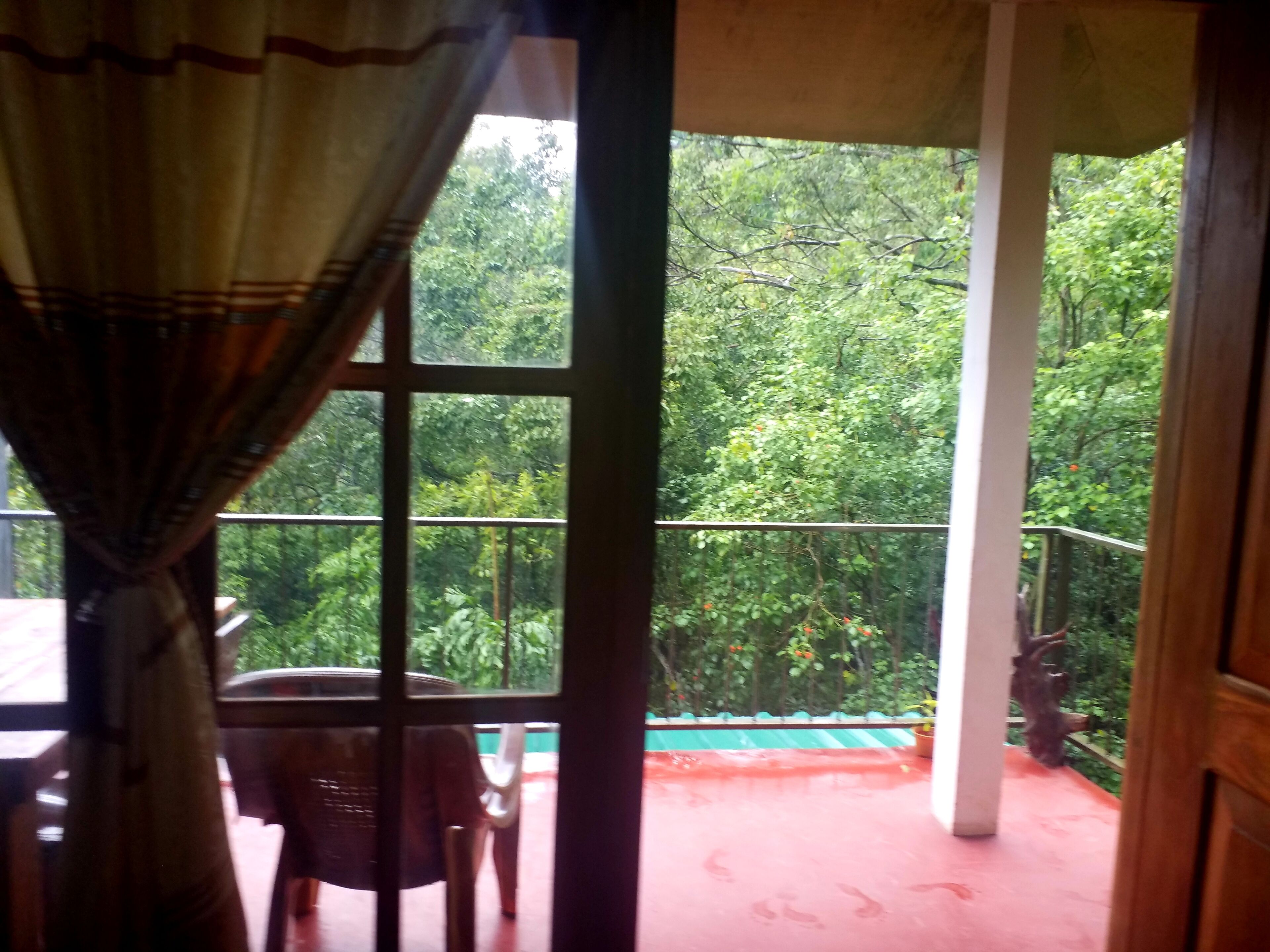 Una habitación con vistas a un bosque verde y exuberante a través de una ventana.