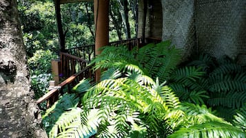 Vue depuis le balcon