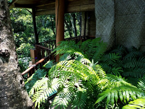 Vue depuis le balcon