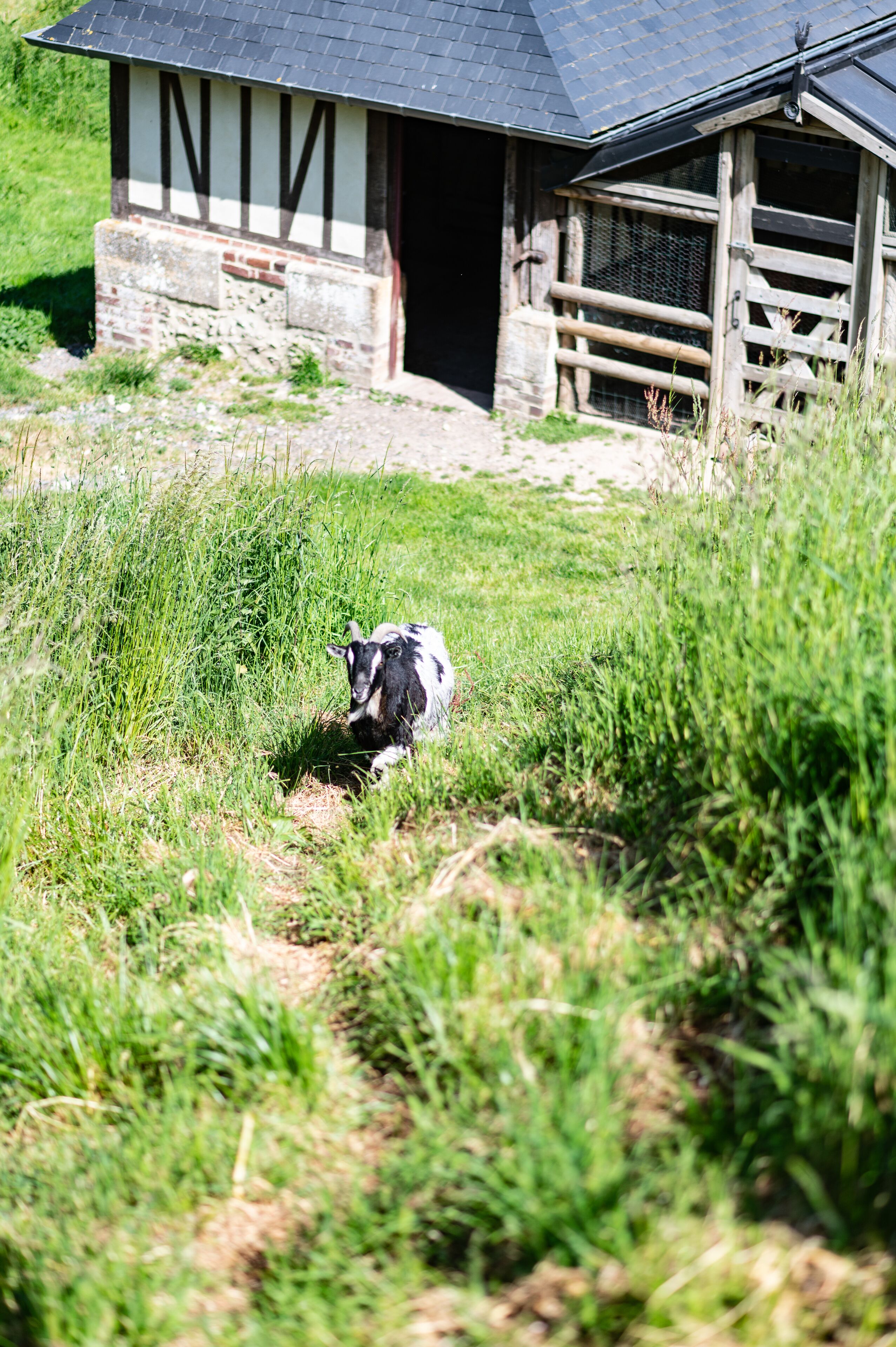 Foto - Le Clos de Grâce