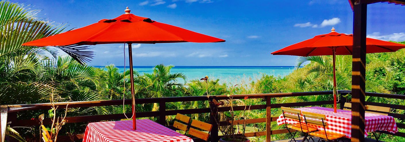 Vista desde la propiedad