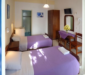Basic Double or Twin Room