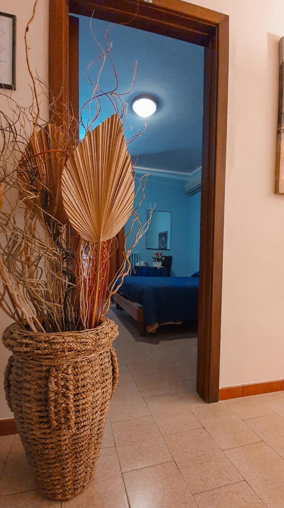 Foto - Hotel Mediterraneo