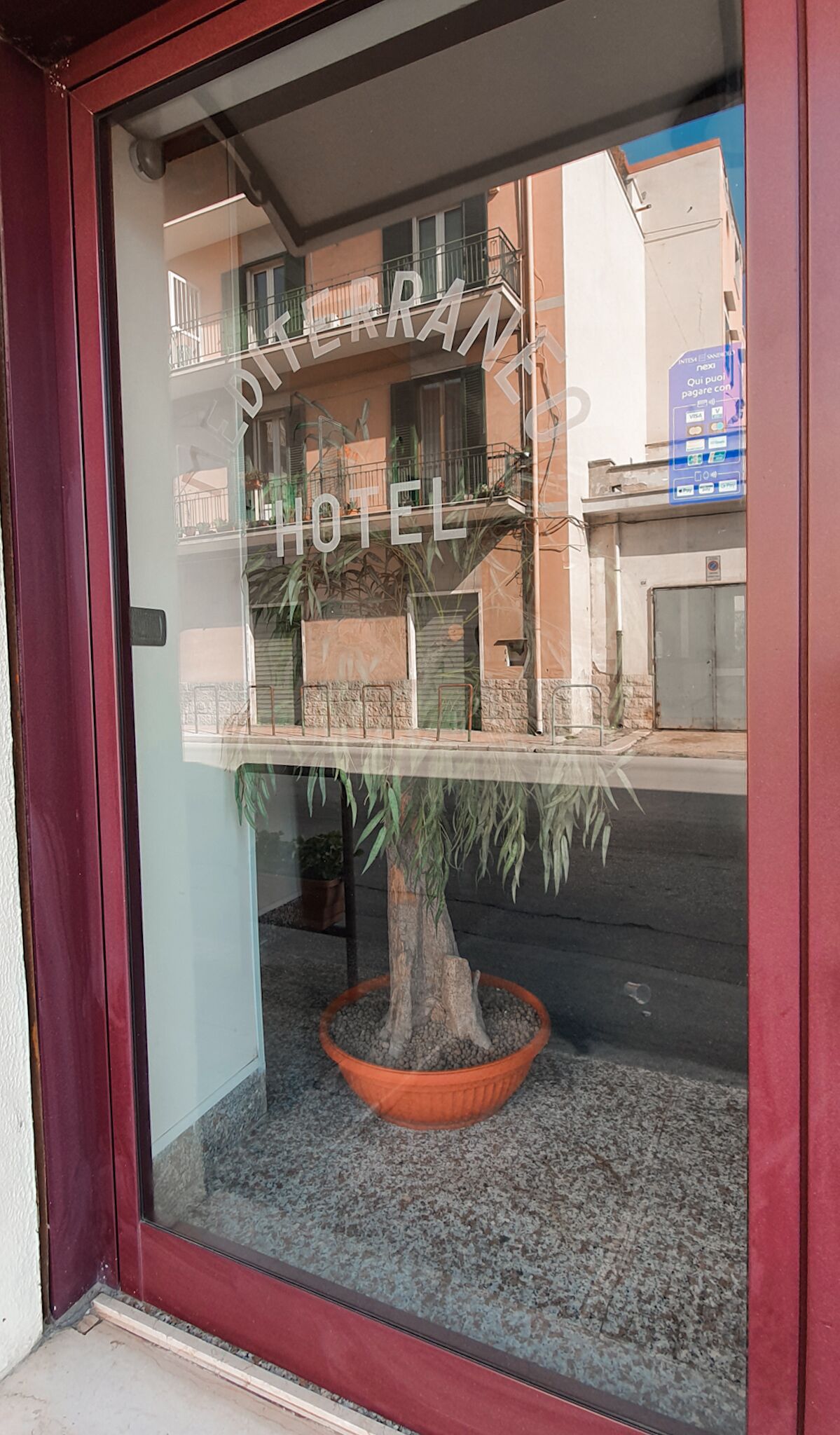 Foto - Hotel Mediterraneo