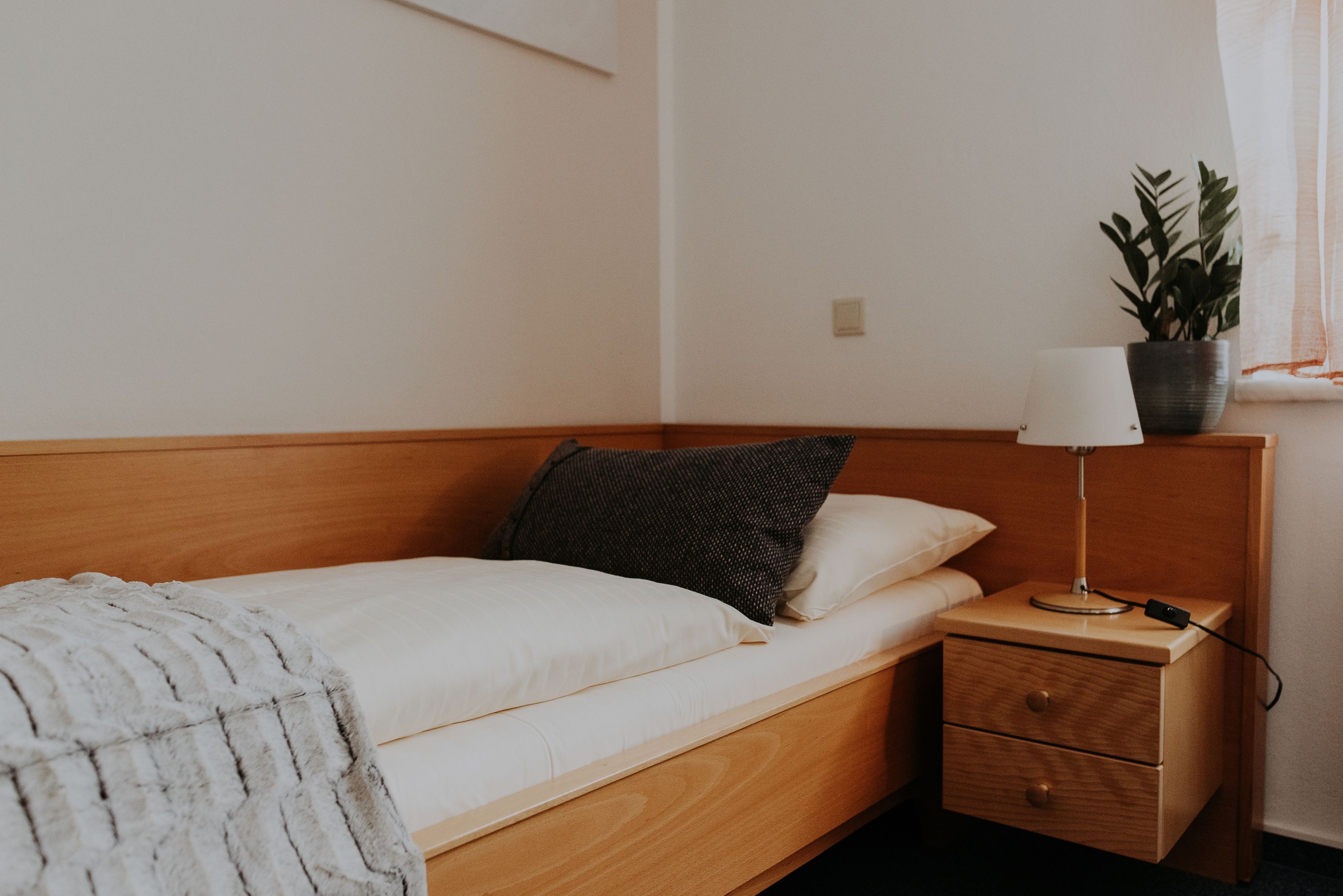 Una cama individual con cabecera de madera, una mesita de noche con lámpara y una planta en maceta.
