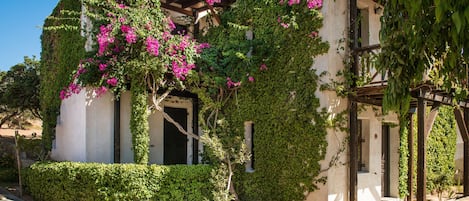 Un bâtiment doté d’une façade en pierre, d’une pergola en bois et d’un petit arbre au premier plan.