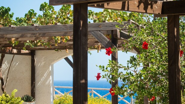 A wooden pergola with climbing plants and red flowers, overlooking a coastal view. - Ambelos (Malevizi)