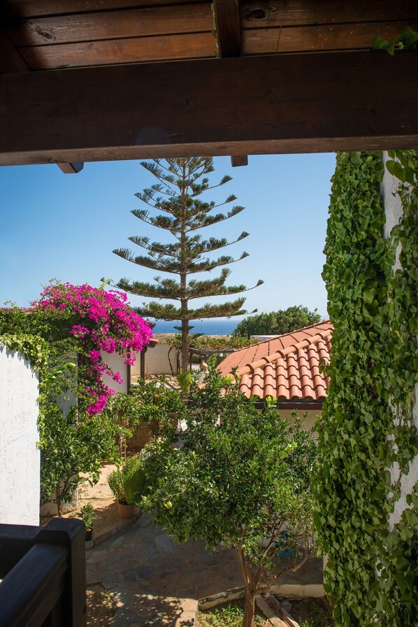 A view through a wooden pergola with a potted tree and bougainvillea plant in the foreground, leading to a tiled-roofed building and a clear blue sky. - Ambelos (Malevizi)