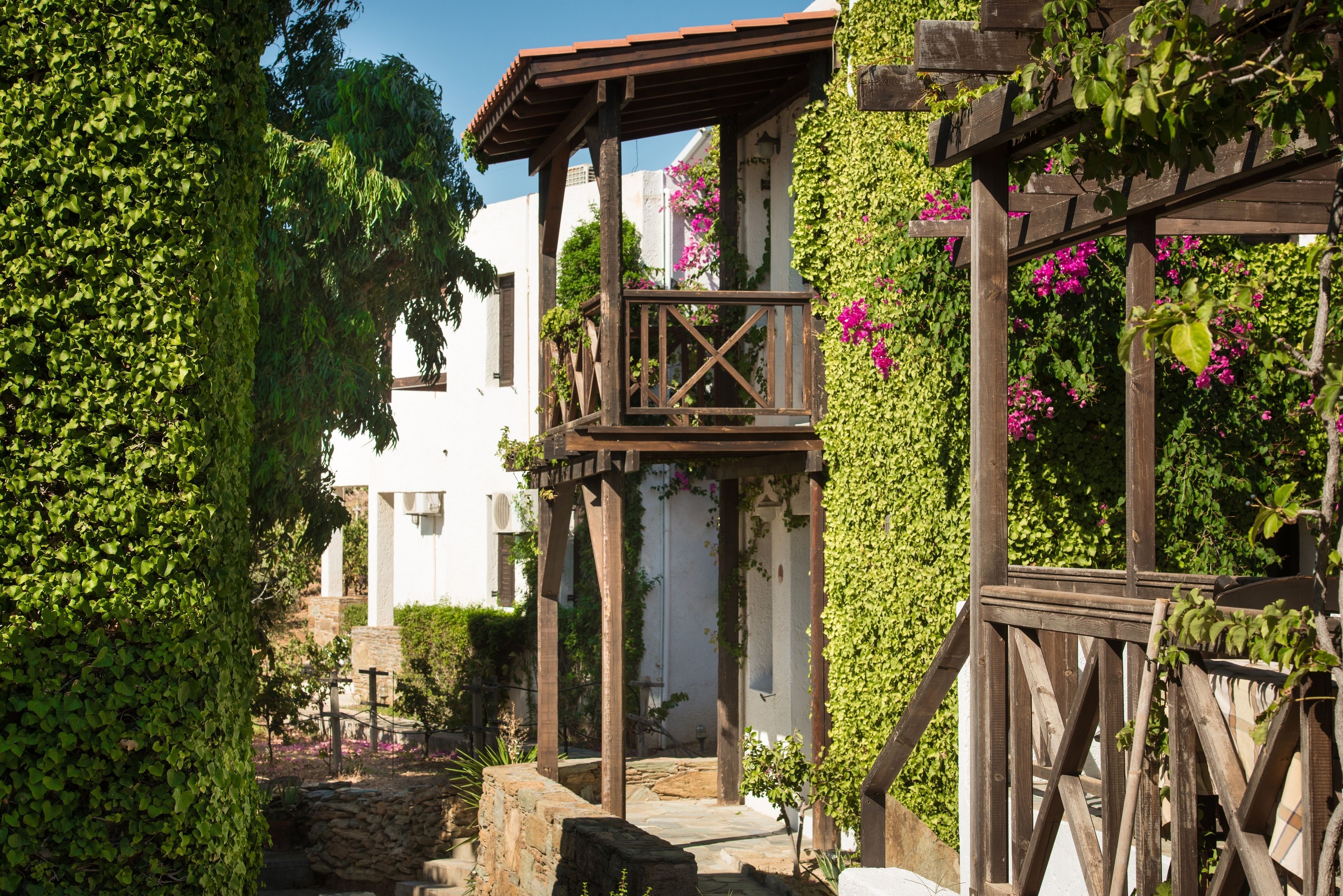 Una pérgola de madera con plantas trepadoras y flores, un camino de piedra y un edificio blanco al fondo.