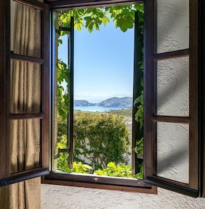 Vista desde la habitación