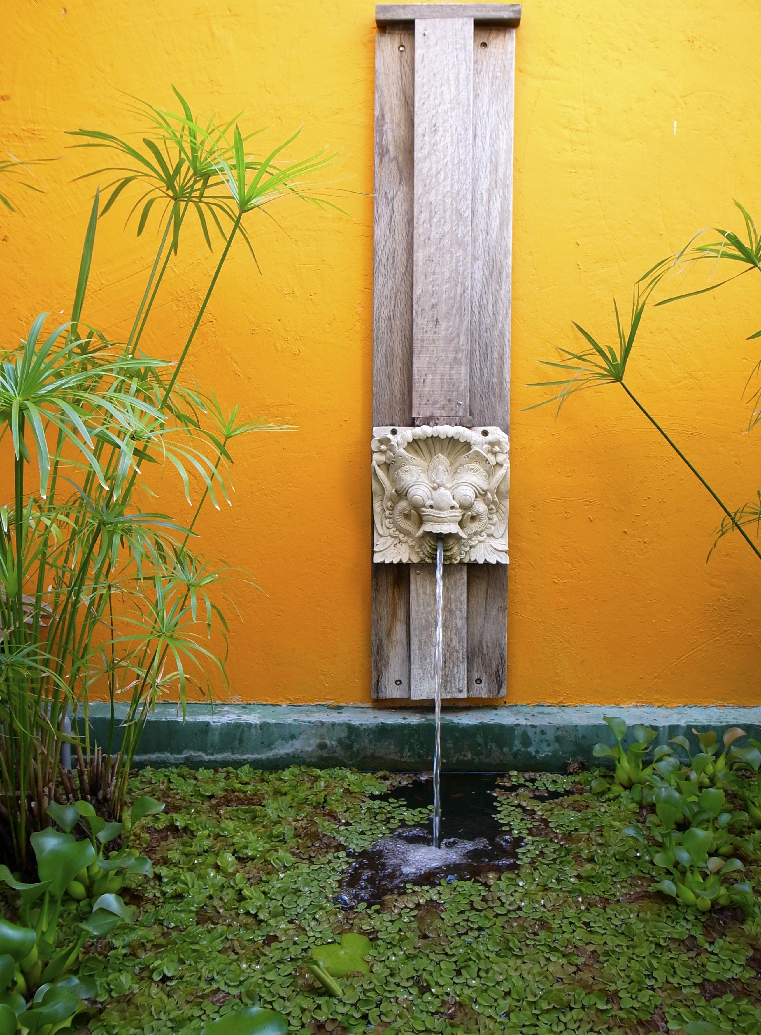 A water feature with a wooden panel and a carved stone figure, surrounded by green plants and set against a yellow wall.