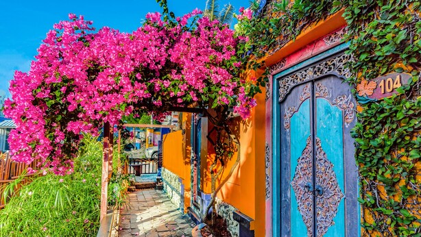 A narrow alleyway with a vibrant pink flowering tree, a blue door with ornate metalwork, and a number sign indicating the address. - Red Garden Resort (Hengchun)