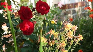 Um jardim com rosas vermelhas e flores amarelas.