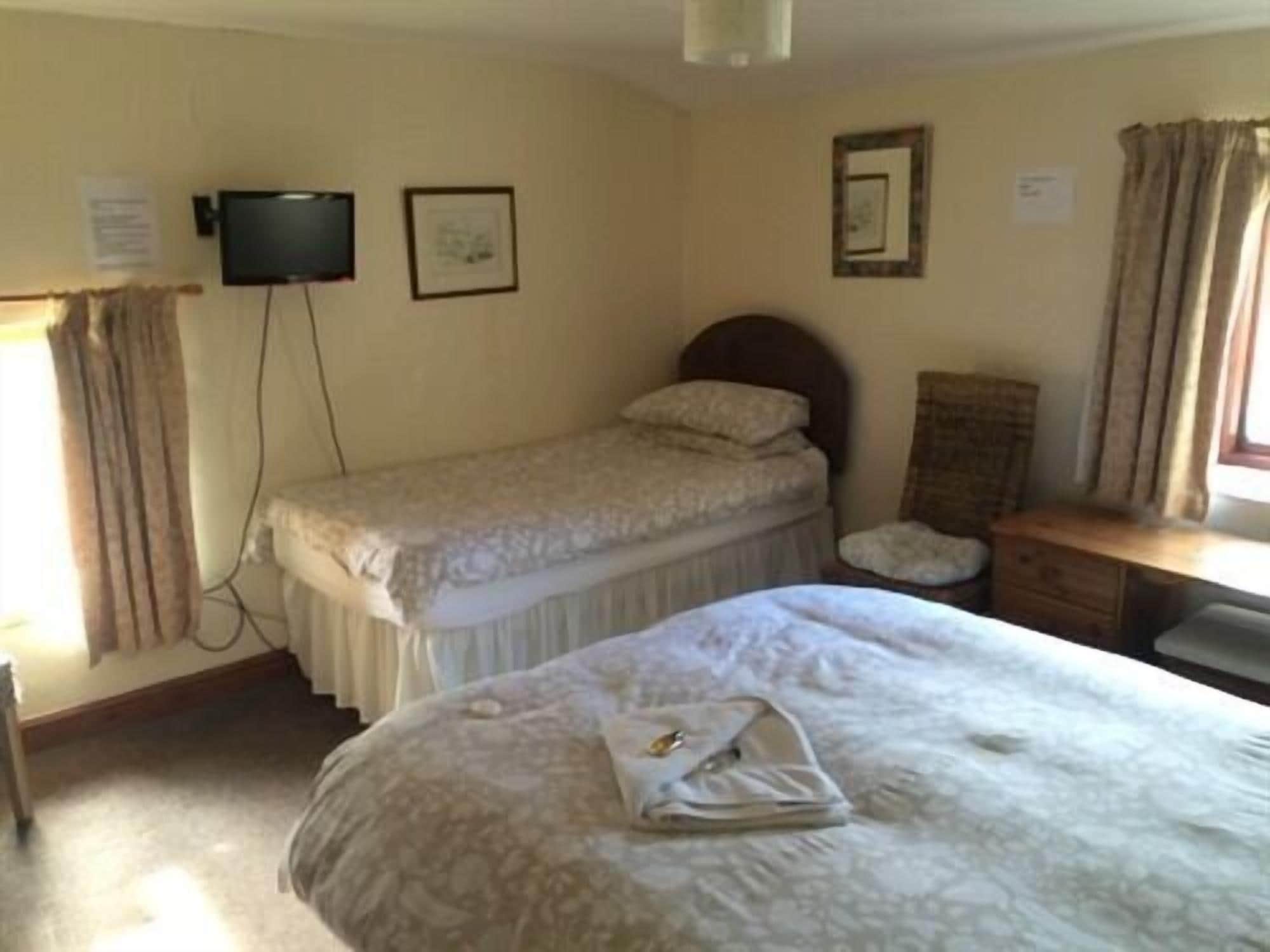 A single bed with a patterned bedspread, a bedside table, a chair, a television mounted on the wall, and a window with curtains.