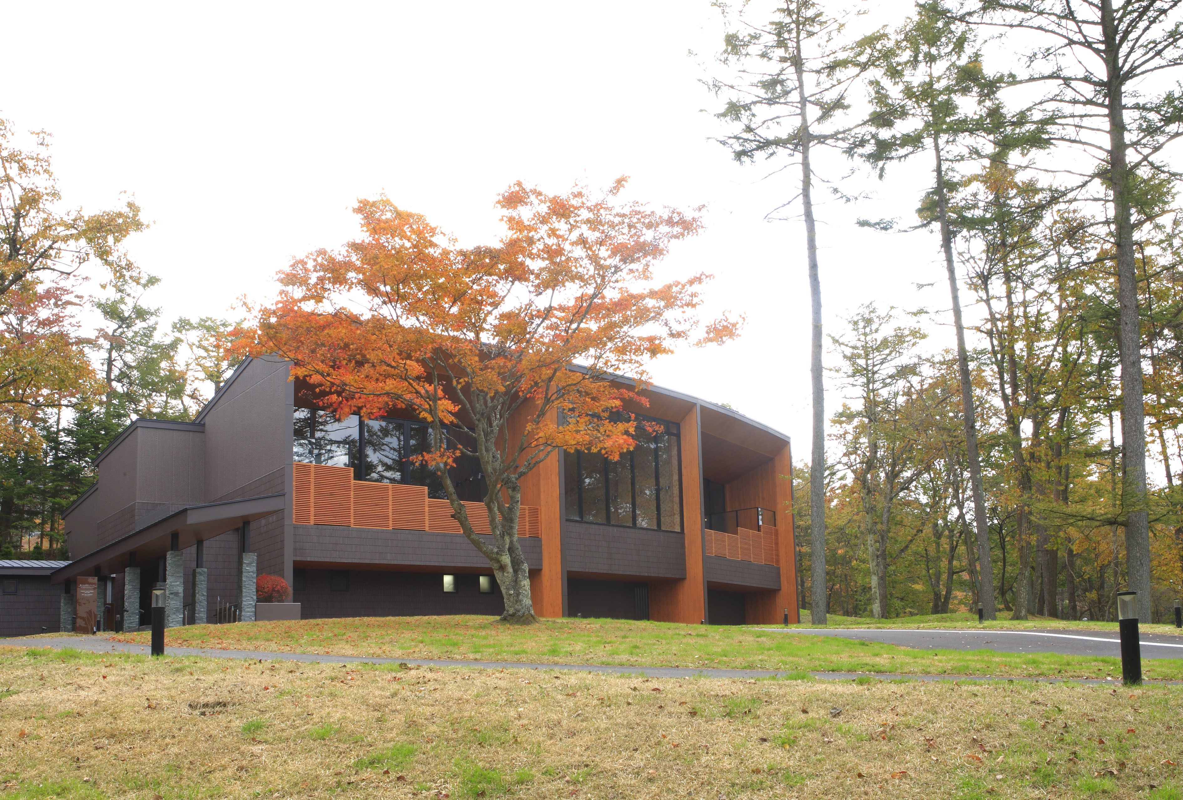A modern building with a flat roof, large windows, and a tree with orange leaves in front.