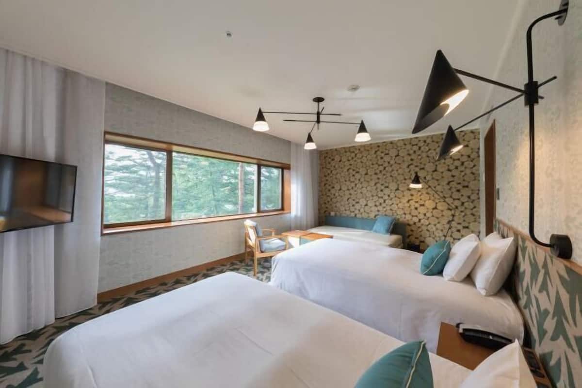 1 Schlafzimmer, Daunenbettdecken, Zimmersafe, kostenlose Babybetten