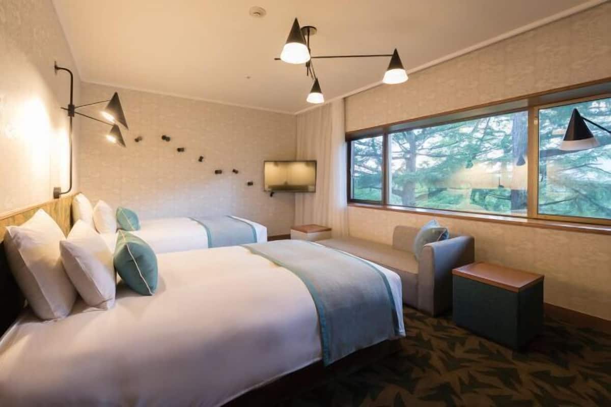 1 Schlafzimmer, Daunenbettdecken, Zimmersafe, kostenlose Babybetten