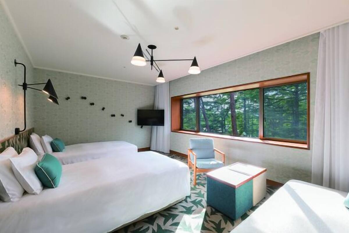 Une chambre d’hôtel avec un lit, une chaise, une télévision et une fenêtre donnant sur la forêt.