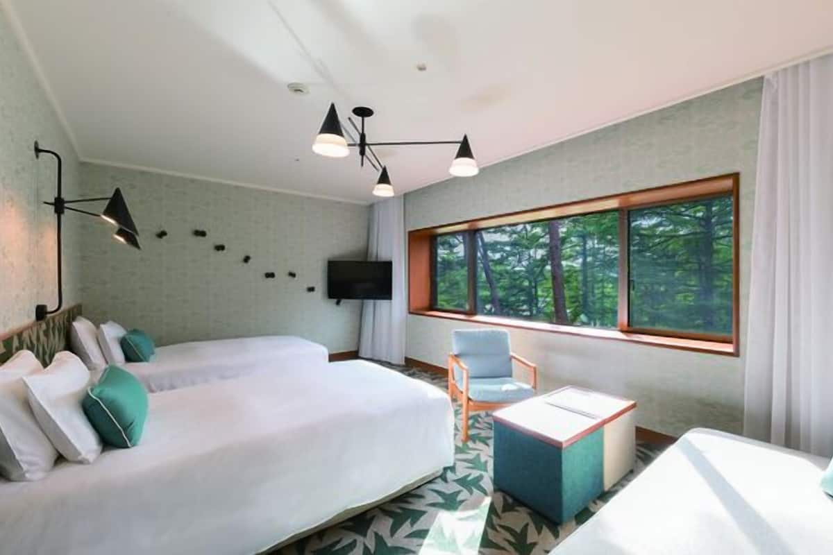Une chambre d’hôtel avec un lit, une chaise, une télévision et une fenêtre donnant sur la forêt.