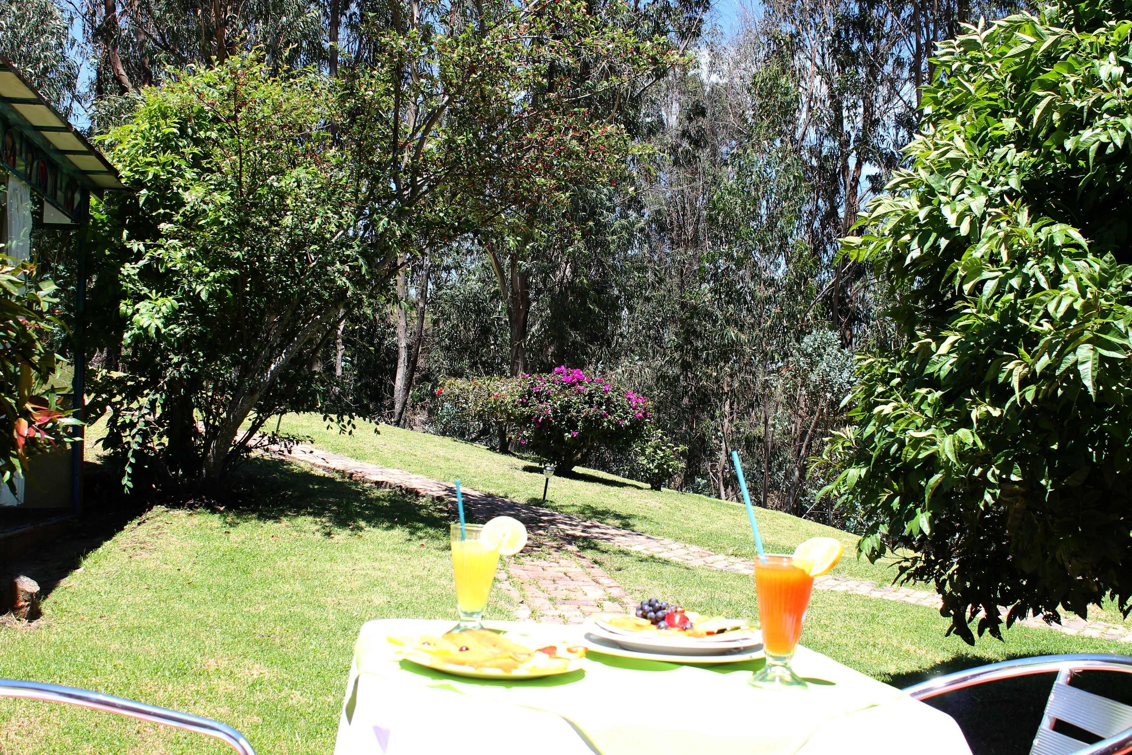 suite | terrace/patio