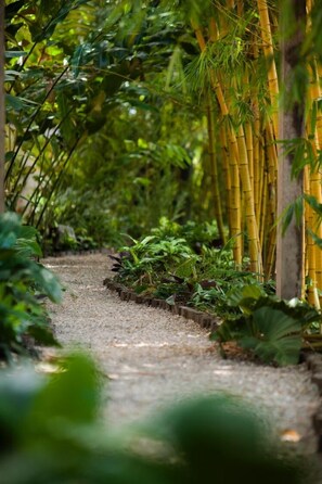 Jardín