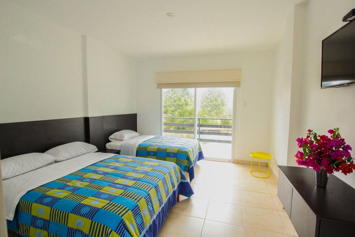 Habitación de hotel con dos camas, televisión, balcón y un florero con flores.