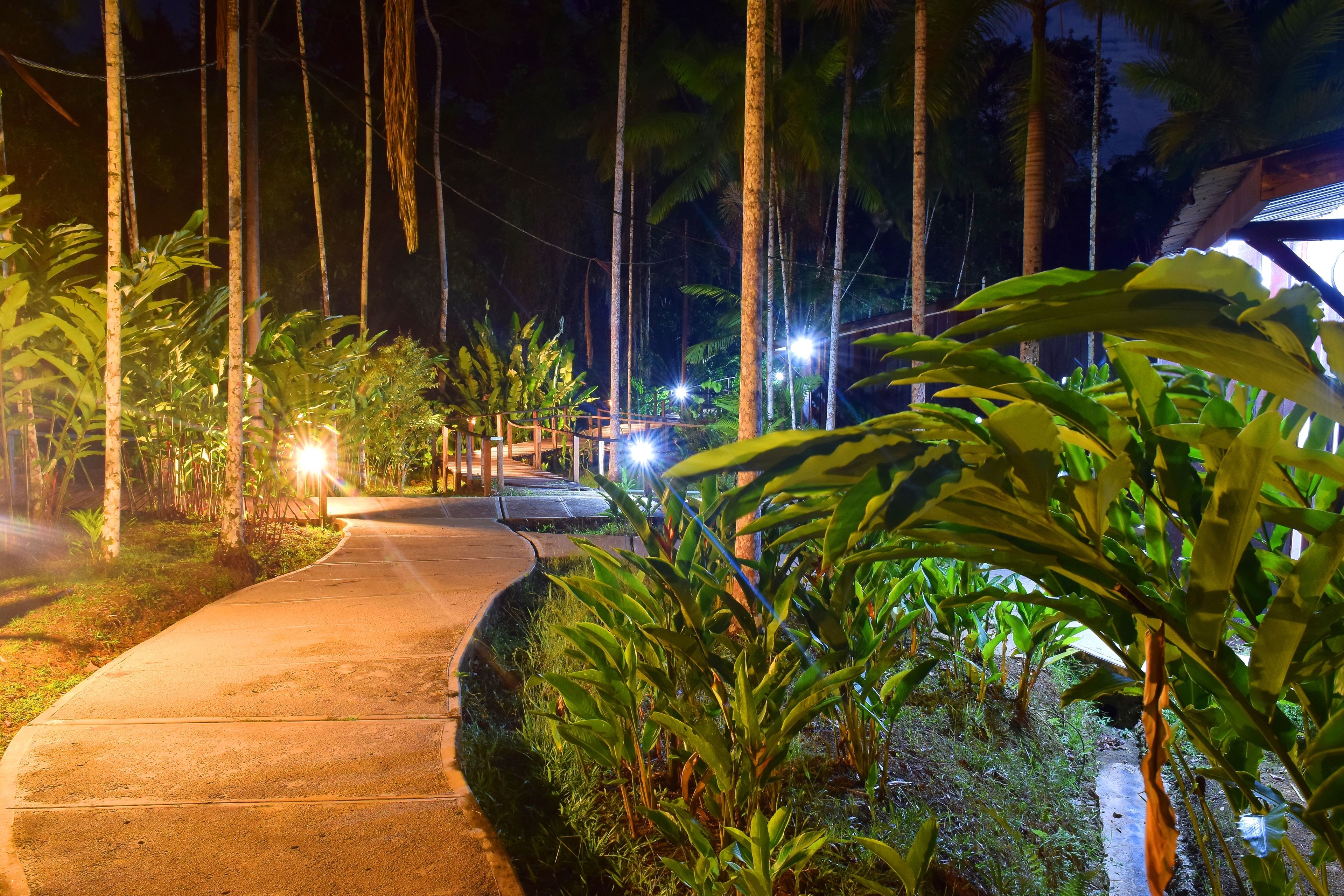 슈피리어 더블룸, 정원 전망 | 객실에서 보이는 전망