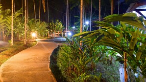Un chemin illuminé, bordé d’une végétation luxuriante et de palmiers, qui mène à un bâtiment aux lumières vives.