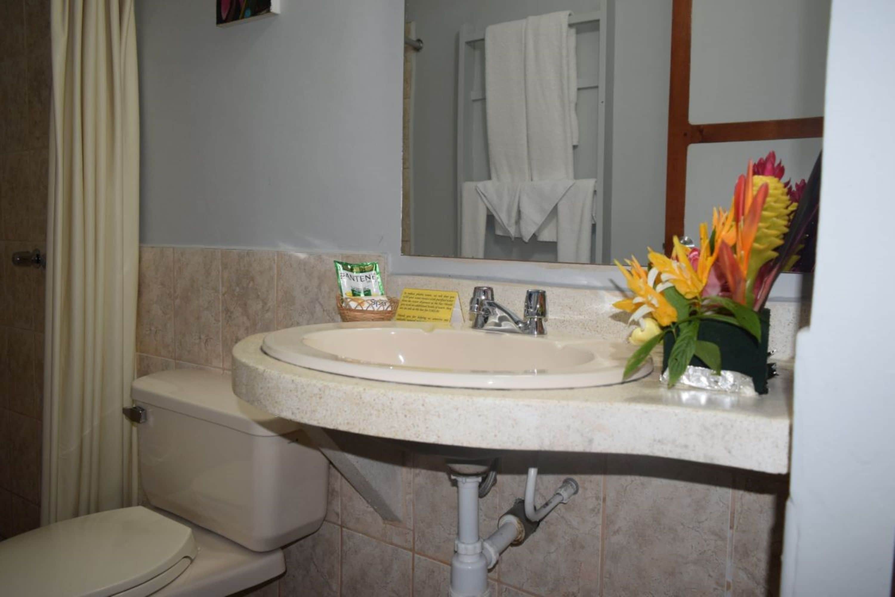 A bathroom with a sink, toilet, and mirror.