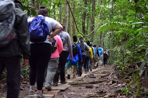 Hiking - Explorama Lodge (Indiana)