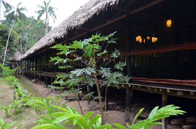 Explorama Lodge