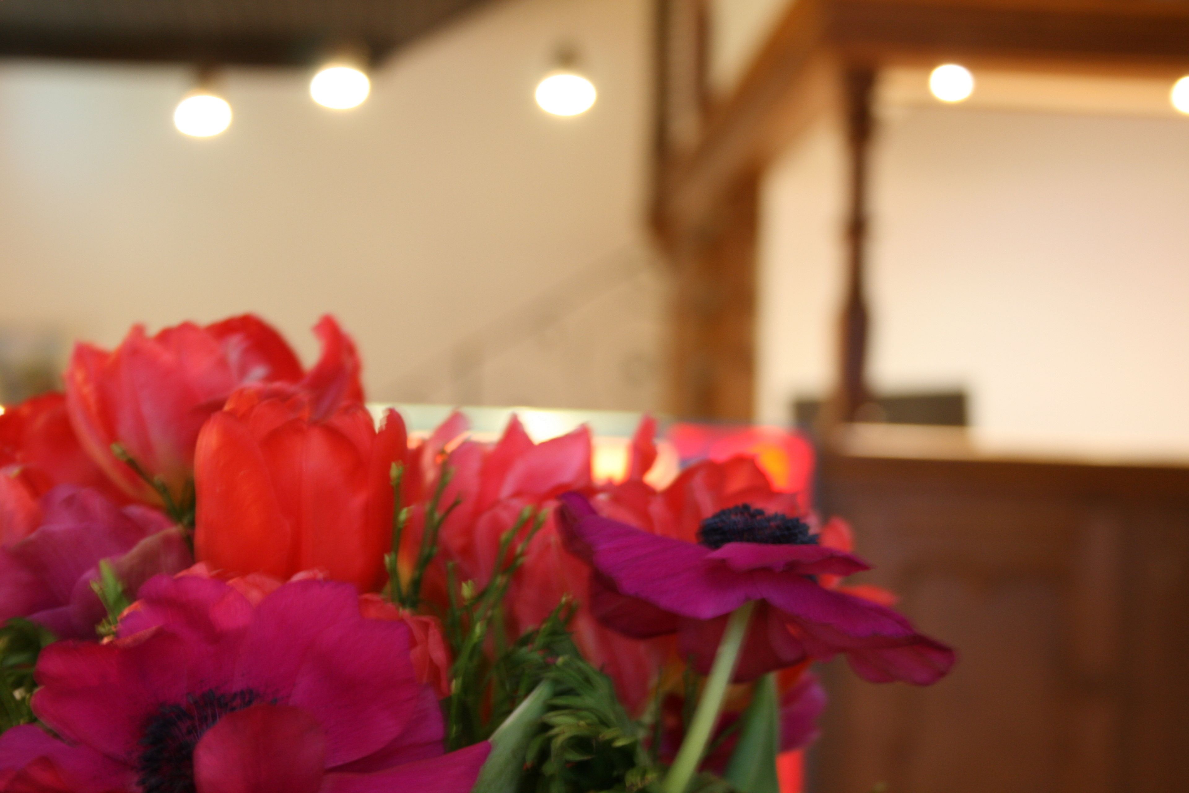 A bouquet of red and pink flowers in a vase.