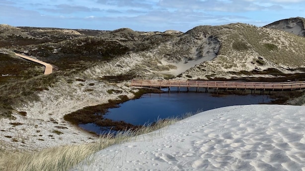A sandy landscape with a small pond, a wooden bridge, and a path leading to a hill. - Hotel Wünschmann (Sylt)
