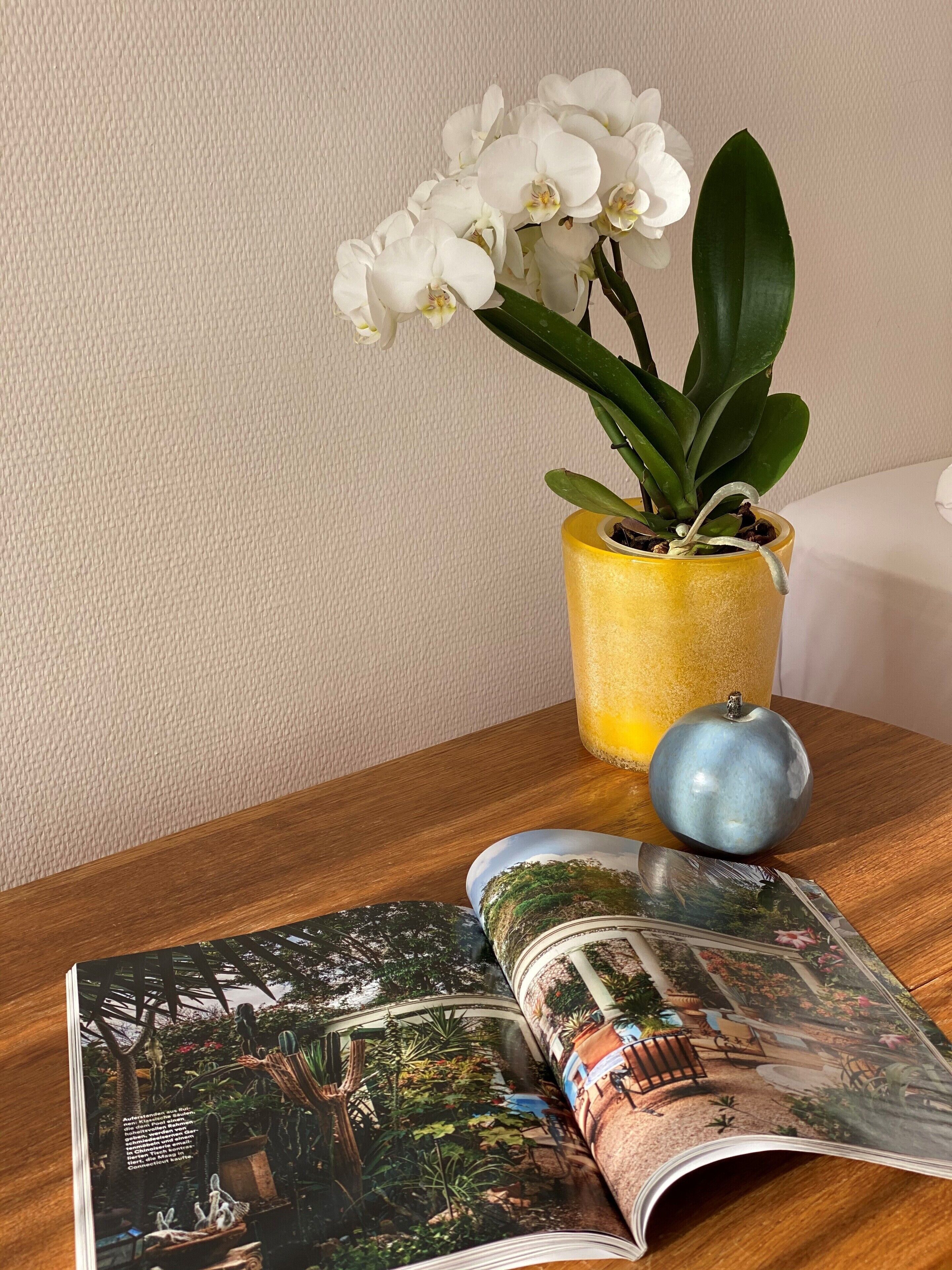 A wooden table with a potted orchid, a blue apple, and an open magazine.