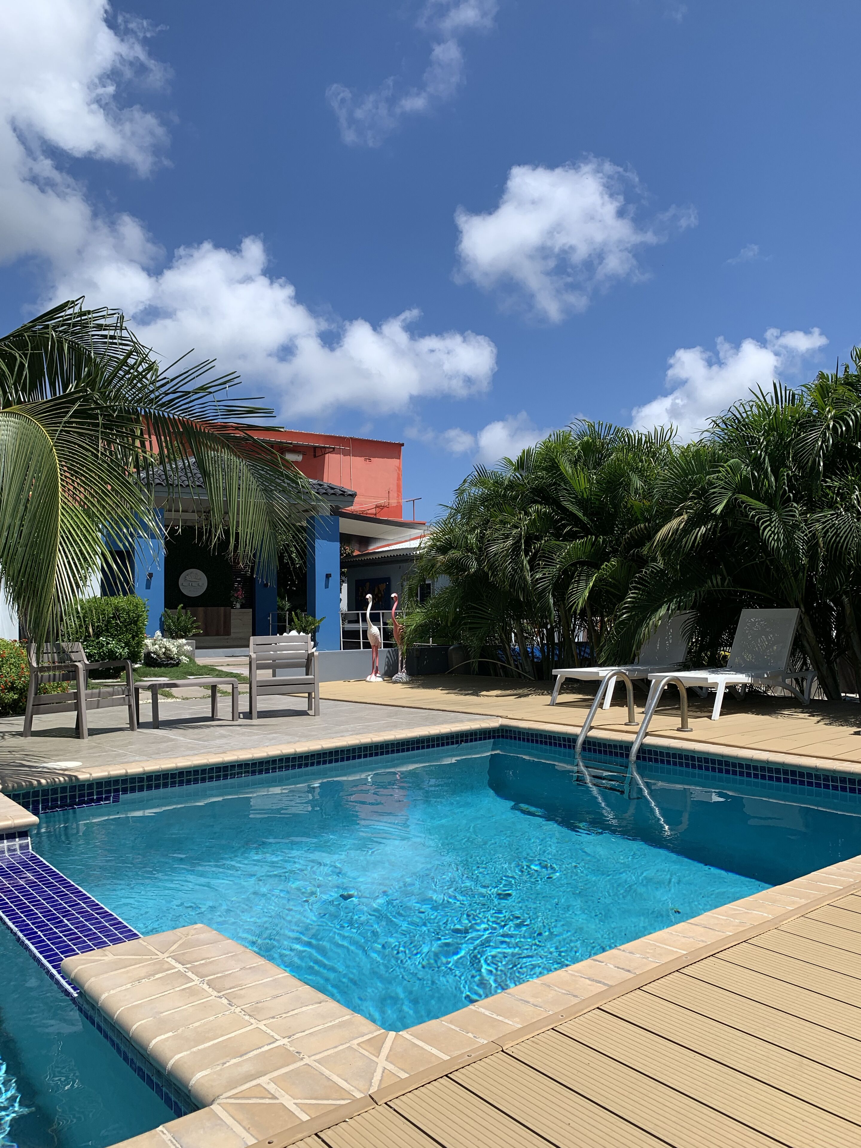 Une piscine entourée de palmiers et de chaises longues, avec une terrasse en bois.