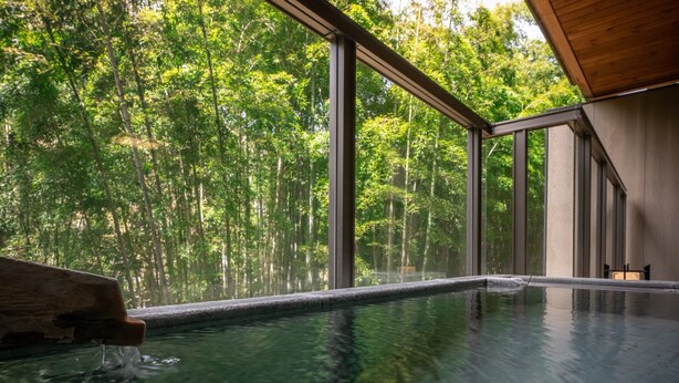 Piscina interior moderna con amplias ventanas que dan a un bosque frondoso.