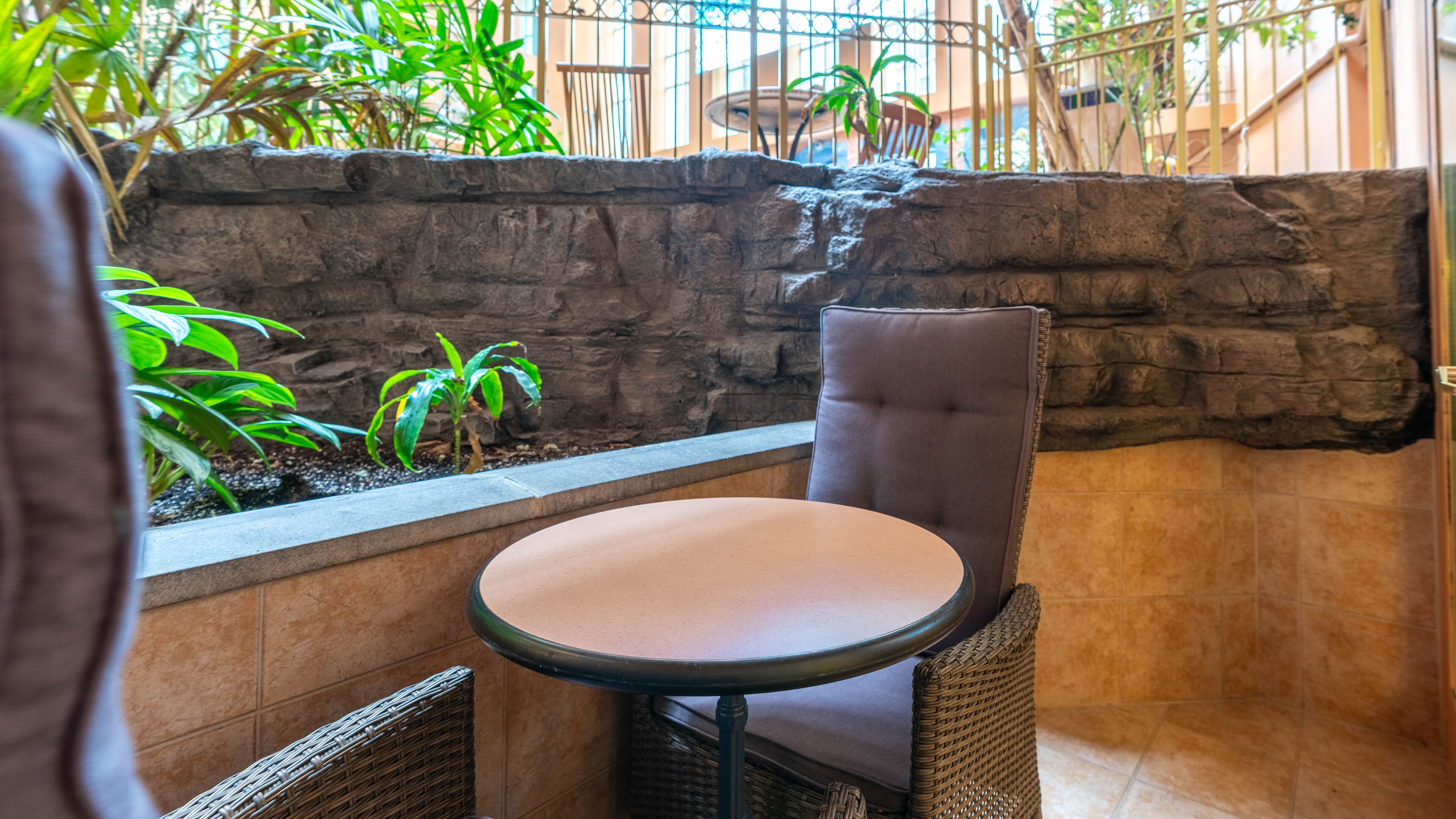 Foto - Hôtel Palace Royal Centre-Ville Québec par JARO