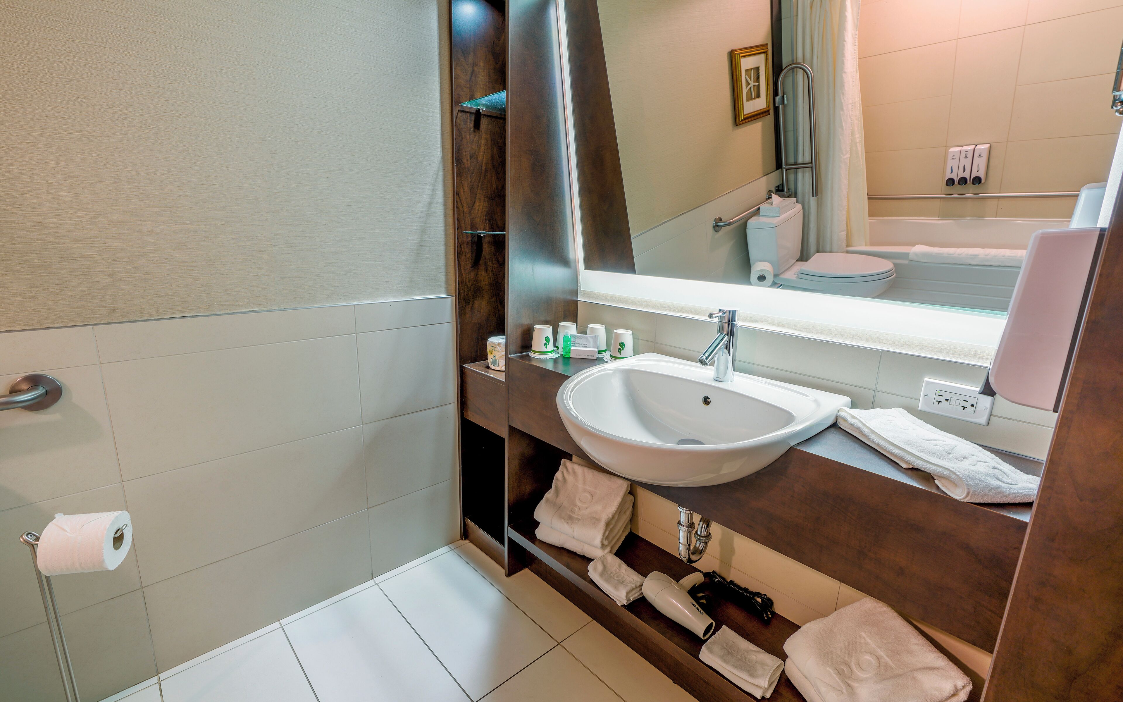 adapted room, 1 queen and 1 queen murphy bed | bathroom | shower, free toiletries, hair dryer, towels