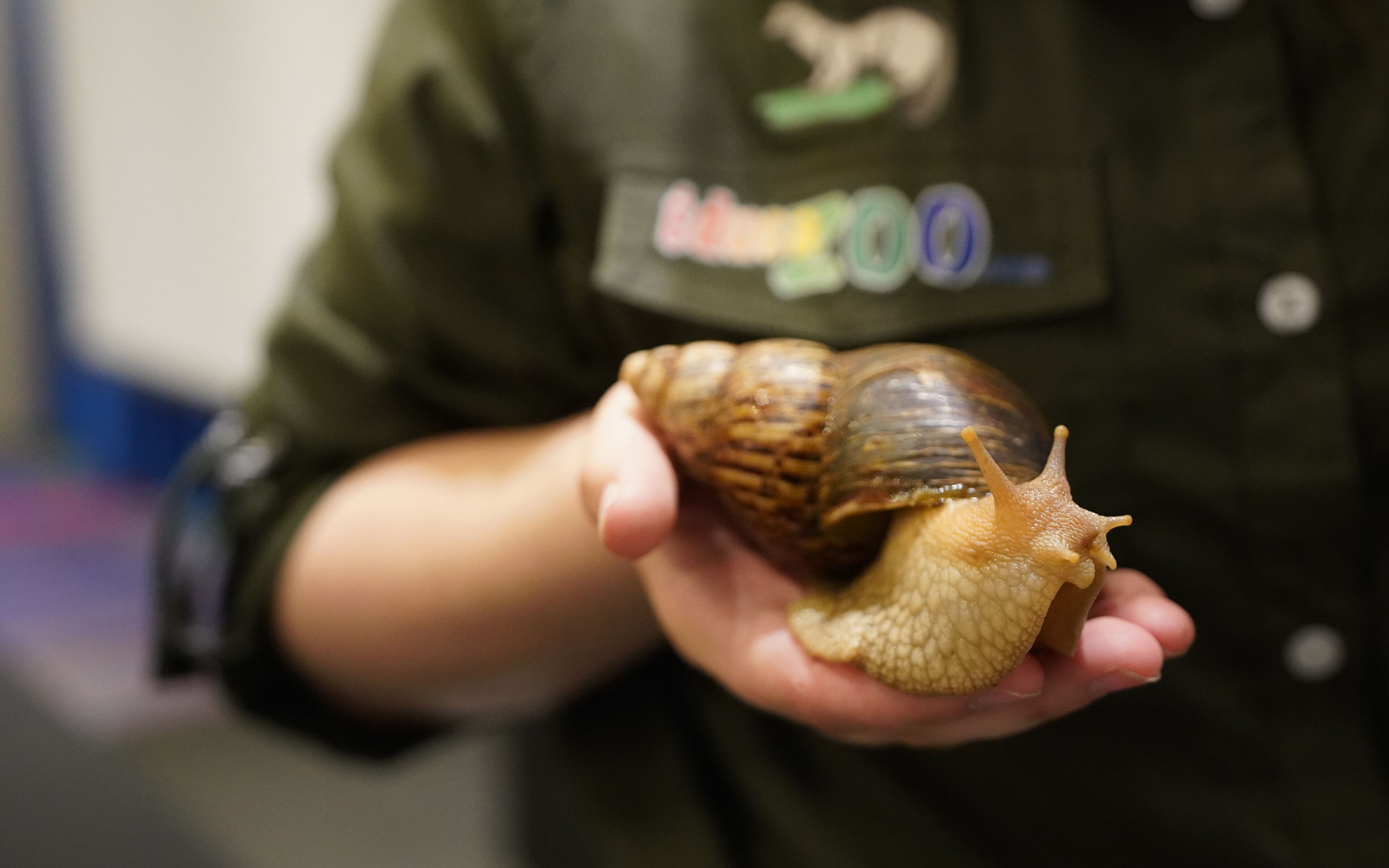 children’s activities