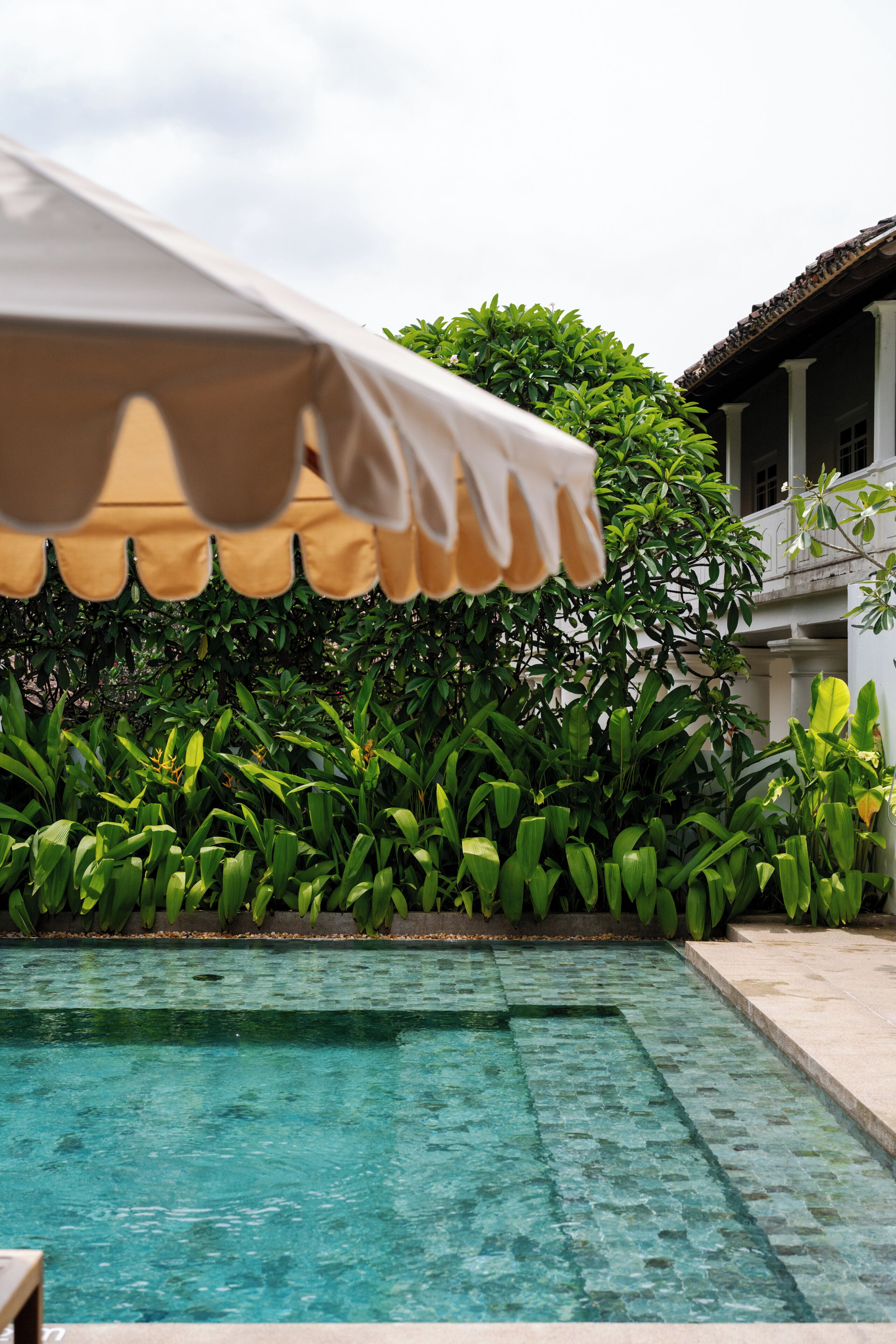 Une piscine à l’eau d’un bleu cristallin, entourée d’une végétation luxuriante et agrémentée d’un parasol blanc qui offre de l’ombre.