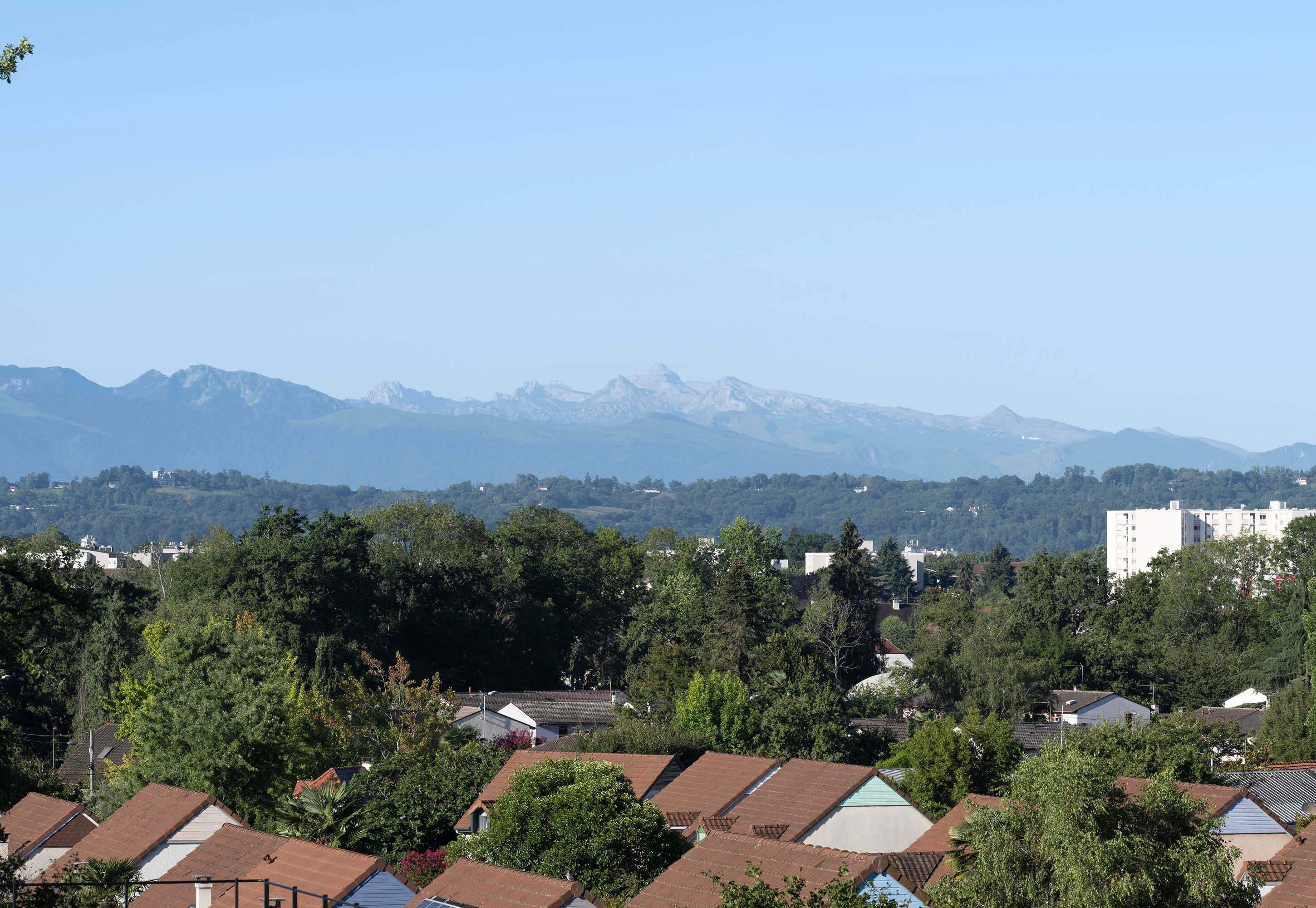 A residential area with houses and a mountain range in the background.