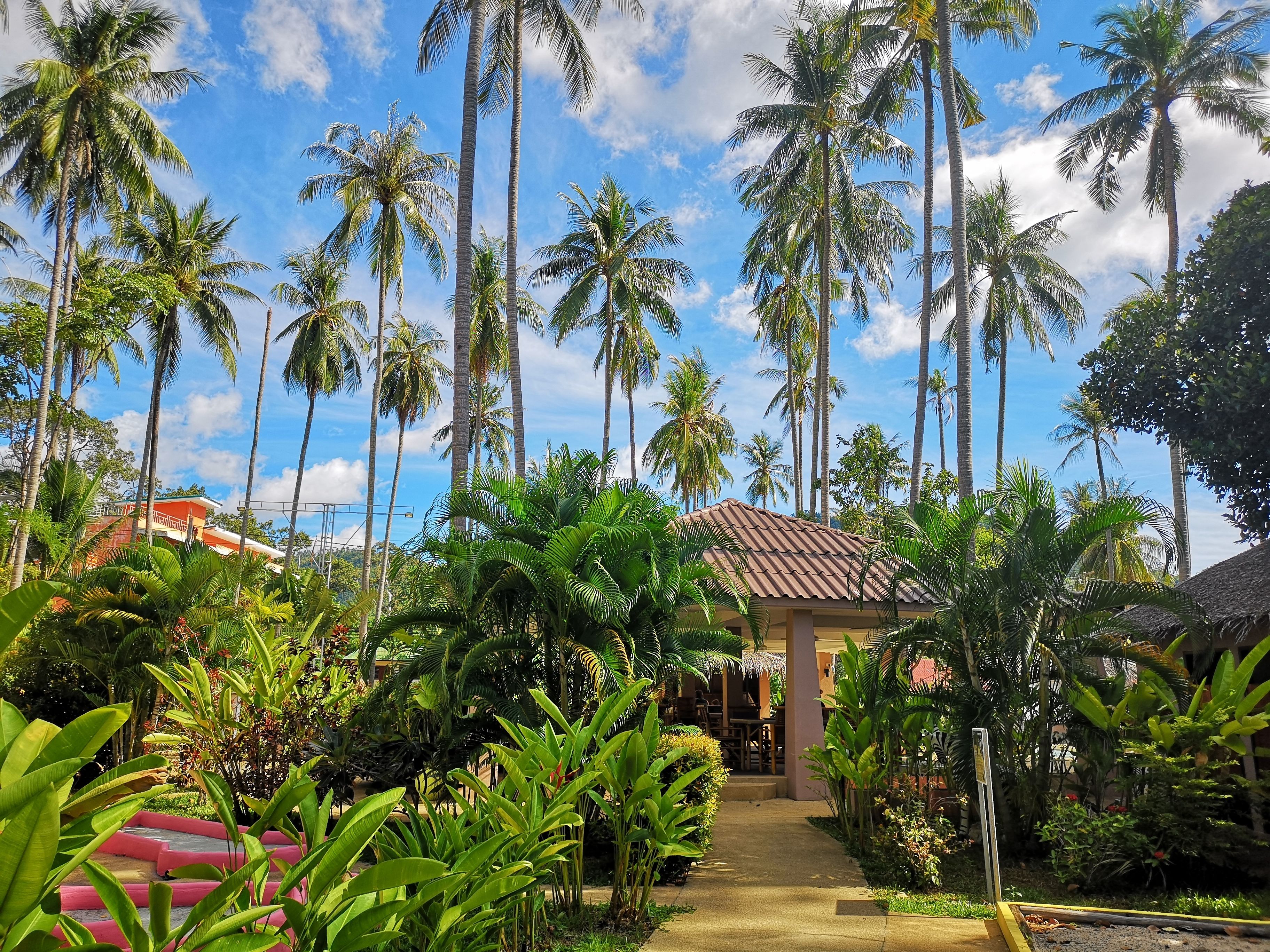 บริเวณที่พัก