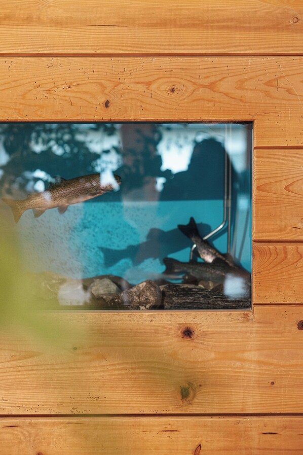A wooden-framed window with a clear view of a fish tank containing fish and driftwood.